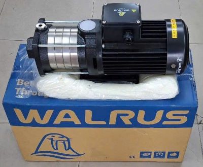 Máy bơm trục ngang Inox Walrus TPH2T5K (380V-0.72KW)